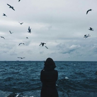 Ghadeer24AS's profile picture. 