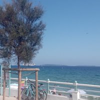 Wallyfunk (@wallyfunk2) 's Twitter Profile