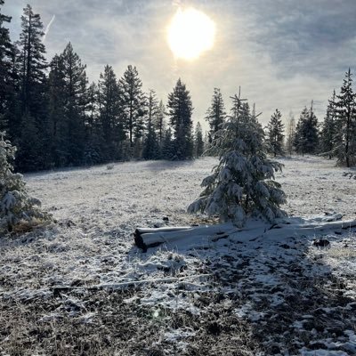 URKLLNGMEsmlls's profile picture. 