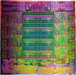 samansaeedi's profile picture. 