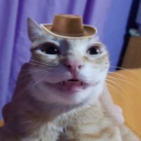 Caique Oliveira (@caique0li) 's Twitter Profile Photo Caique Oliveira (@caique0li) 's Twitter Profile Photo