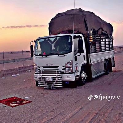 دينا نقل عفش داخل وخارج الرياض
شراء الأثاث مستعمل بالرياض
ونيت نقل عفش
لوري نقل عفش
تريلا نقل عفش