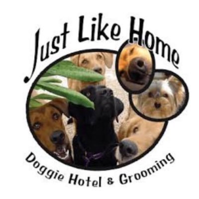 Just Like Home is an amazing and safe environment for your dogs that offers many different services such as Day Care, Boarding and Grooming!