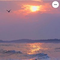 ابو علوان البكري (@mohamed74377934) 's Twitter Profile