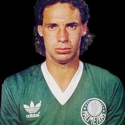 Douglas92924894's profile picture. Palmeirense a moda antiga 💚💚