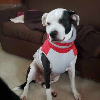 LeeWatson (@watson_lee56246) 's Twitter Profile