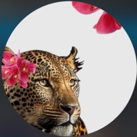 ميثهـليزا❣️ (@mem77l) 's Twitter Profile