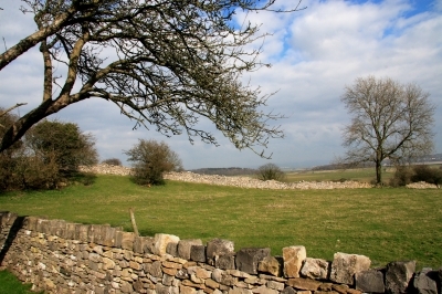 We are a coalition of resident groups in South Lakes opposed to plans by South Lakeland District Council (SLDC) to allow mass development on green field sites.