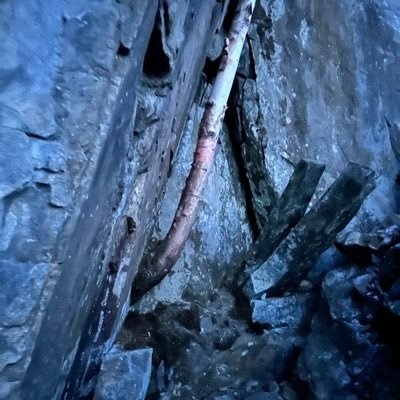 flyingman130938's profile picture. 