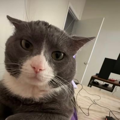 🎗️🩸Diaries | my yapping space 🗣️ | confirmed +ve 07/11/2024 | strictly no porn | spread kindness not ur legs | educational tweets | Malaysian 🇲🇾