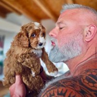 Joshua Benjamin (@acoolattitude) 's Twitter Profile