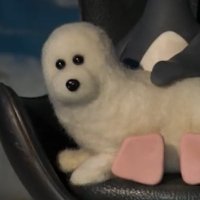 Spaceseals (@spaceseals) 's Twitter Profile