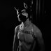 Zane Lenno (Zee) (@zanedahboy) Twitter profile photo Zane Lenno (Zee) (@zanedahboy) Twitter profile photo