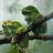 bulsa5634478's profile image