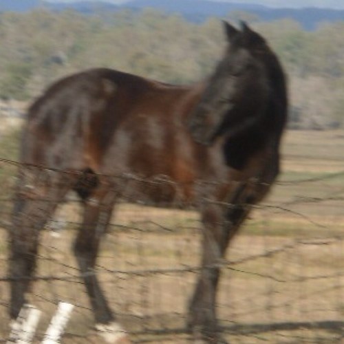 skyetaylor3's profile picture. im out going love to have fun and just chill 3 :) :D