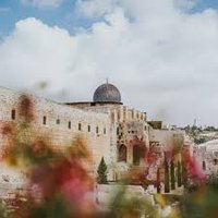 Firdows Abbas (@firdowsabbas) 's Twitter Profile