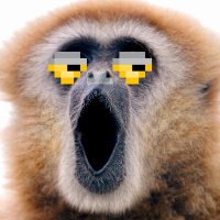 PFunk420.algo (@funk420p) 's Twitter Profile Photo PFunk420.algo (@funk420p) 's Twitter Profile Photo