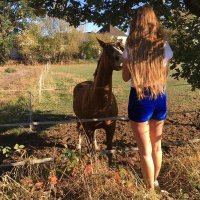 Nancy (@n_cunningham38) 's Twitter Profile