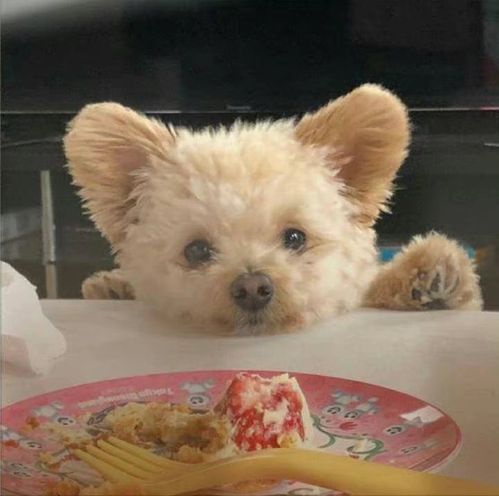 kingdom_ke66297's profile picture. 