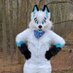 ๐ณ๏ธโ๐Noss Fox / Volt Wolf ๐ณ๏ธโ๐ ๐ @Furpocalypse (@starkey_nossfox) Twitter profile photo ๐ณ๏ธโ๐Noss Fox / Volt Wolf ๐ณ๏ธโ๐ ๐ @Furpocalypse (@starkey_nossfox) Twitter profile photo
