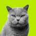 Peghe (@peghe18) Twitter profile photo Peghe (@peghe18) Twitter profile photo
