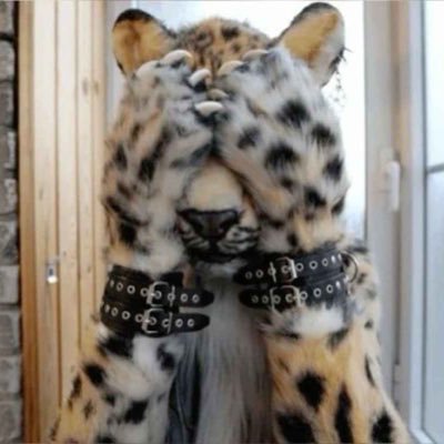 19 • he/him • 🏳️🌈 • smol snep • i luv music, concerts, fashion, sports, and fitness • i MIGHT be a furry