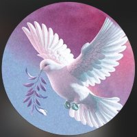 Godly Conversations (@godlyconvos) 's Twitter Profile Photo Godly Conversations (@godlyconvos) 's Twitter Profile Photo