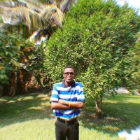 steven albert (@albertsteven687) 's Twitter Profile