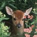 june (@junepertree) Twitter profile photo june (@junepertree) Twitter profile photo