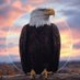 Ryan Thomas (@intruthwestand) Twitter profile photo Ryan Thomas (@intruthwestand) Twitter profile photo