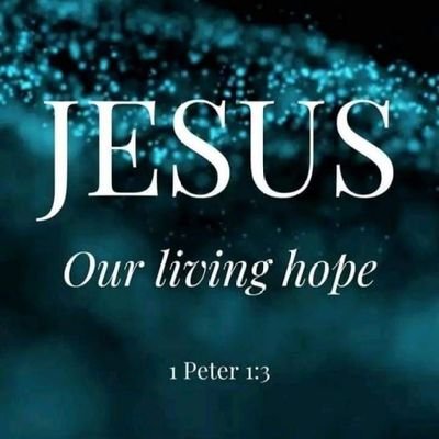 OAkunna60502's profile picture. 