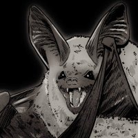 BELLA (@opus10n6) 's Twitter Profile Photo BELLA (@opus10n6) 's Twitter Profile Photo