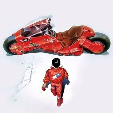 sulfato_de's profile picture. Something went wrong along the way