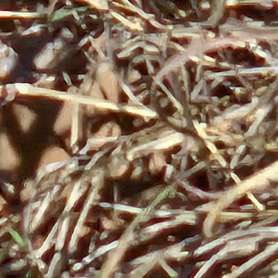 54245678990987l's profile picture. 