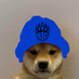 Pandar (@pandareuw) Twitter profile photo Pandar (@pandareuw) Twitter profile photo