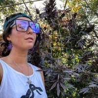 Queen of the Sun Grown (@usa_grower2263) 's Twitter Profile