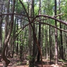 BcsoCalhoun's profile picture. 