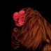 monkey (@unxfulfilled) Twitter profile photo monkey (@unxfulfilled) Twitter profile photo
