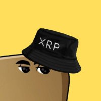 XRP Bucket hat (@xrpbuckethat) 's Twitter Profile