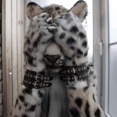 jeonspiegel's profile picture. don’t even joke lad