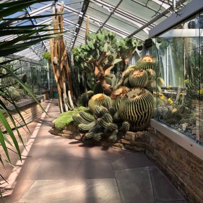 romanman23's profile picture. Intelligence is NOT knowing everything but it is challenging everything you know