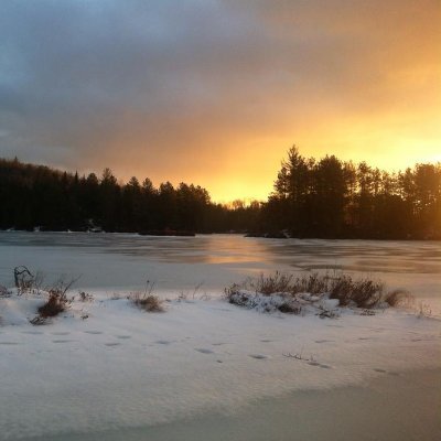 axelrobi's profile picture. 