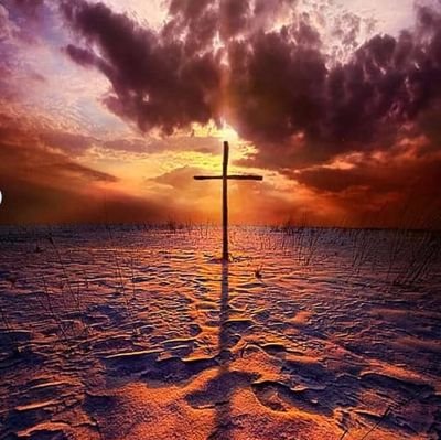 SK_bee122's profile picture. 