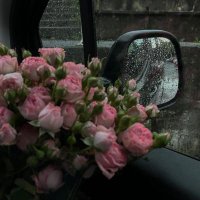 Fatma. (@fatmah_hfc) Twitter profile photo