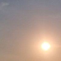JM🕊🧚‍♀️🎶🎧 (@tantawan1310) 's Twitter Profile Photo