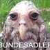 Andrê Meinung (@hsheinrich66) Twitter profile photo Andrê Meinung (@hsheinrich66) Twitter profile photo