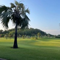 かすみ🏌🏻‍♀️ (@meilinnayyy) Twitter profile photo