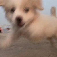낰 (@oooknock) 's Twitter Profile Photo 낰 (@oooknock) 's Twitter Profile Photo