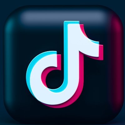Sidehustle_hub's profile picture. Learn how to monetize TikTok and build a steady side hustle. Start earning today!