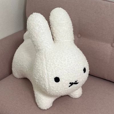 Webエンジニア Vim Golang Rust TypeScript Terraform ISUCON AtCoder緑 AWS SAA https://t.co/PFvk4C1vjS
